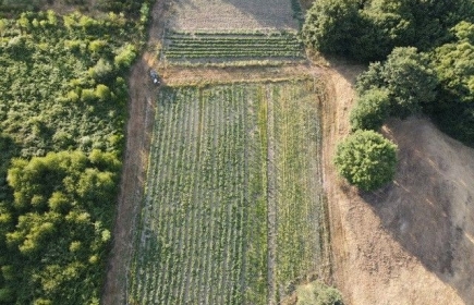 Le Jardin vu du ciel (Drone de Michel)